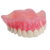 Digital Complete Dentures